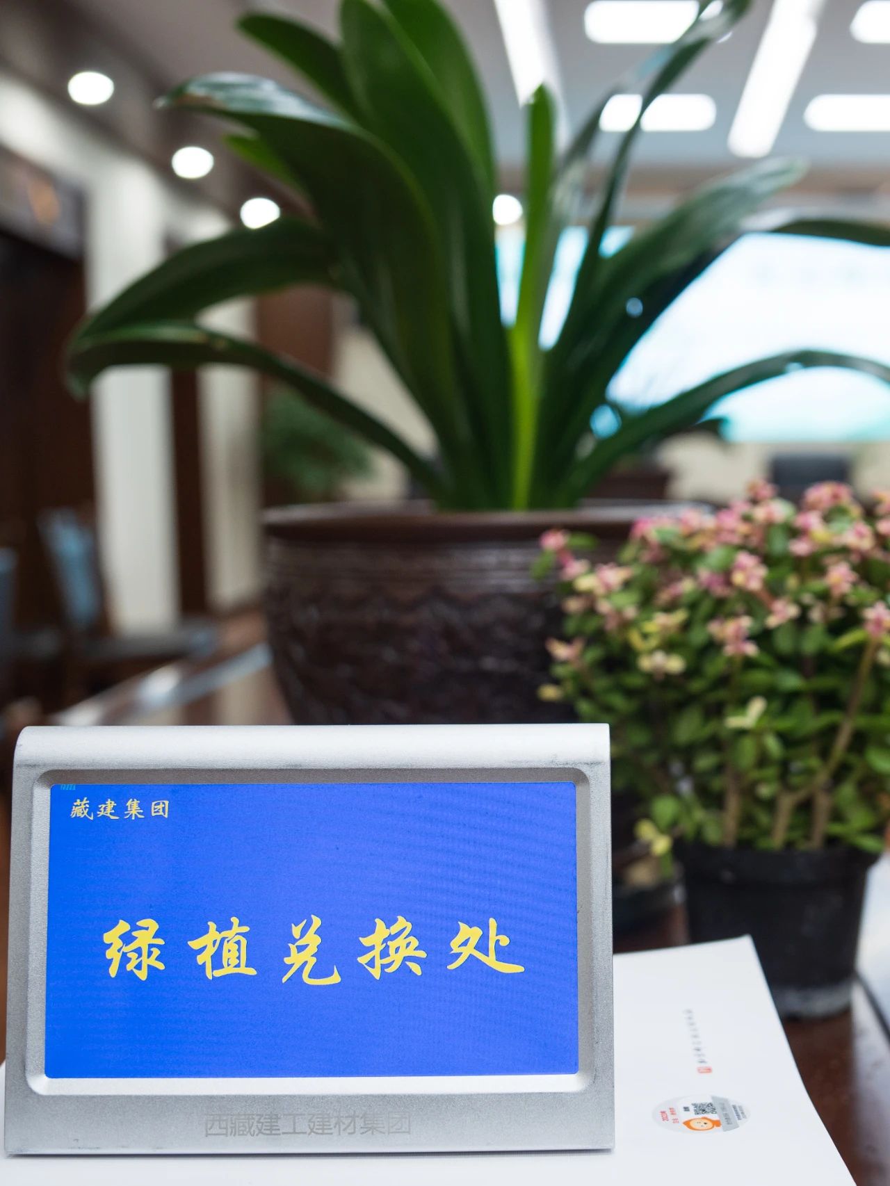 胜天国际-科技赋能场景,让娱乐更有趣!